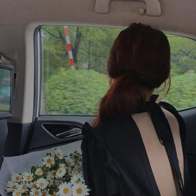 黛安娜的婚礼 海报